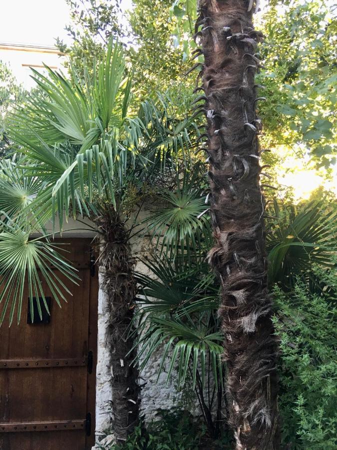 Palmera Mostar Esterno foto