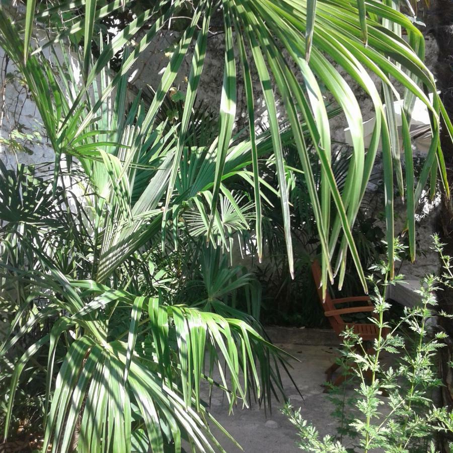 Palmera Mostar Esterno foto