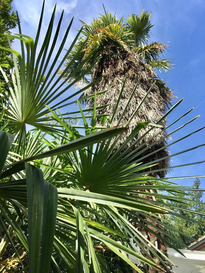 Palmera Mostar Esterno foto