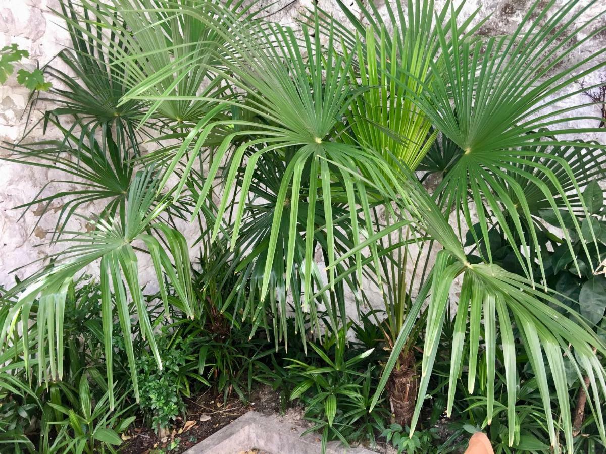 Palmera Mostar Esterno foto