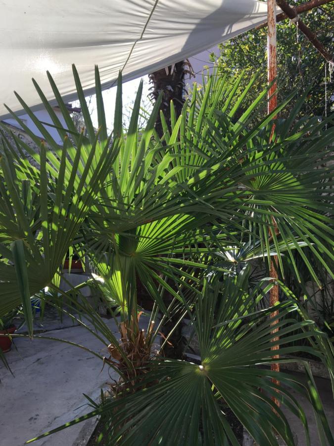 Palmera Mostar Esterno foto