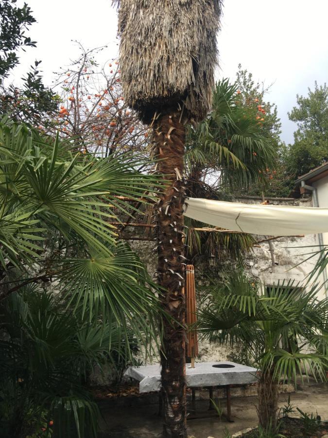 Palmera Mostar Esterno foto